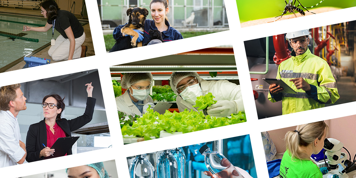 collage of people working environmental public health jobs