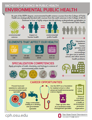 bsph environmental health infographic