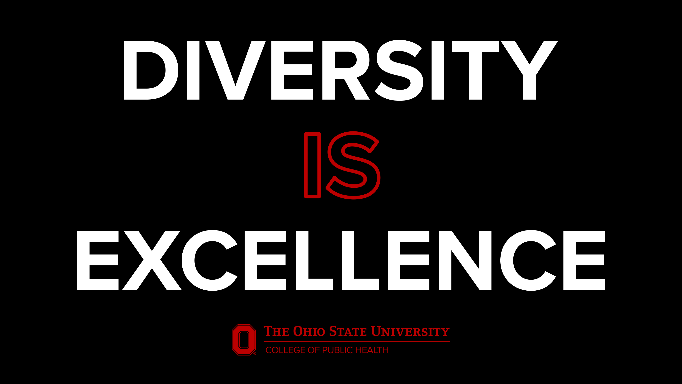 Diversity is Excellence banner