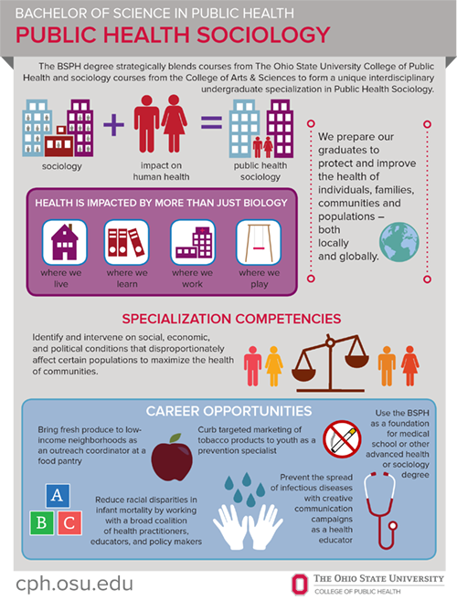 bsph sociology infographic
