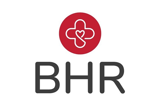 Buckeyes for Harm Reduction logo