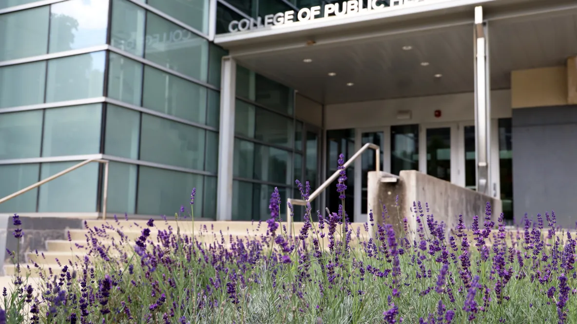 Cunz Hall with lavendar plants in bloom